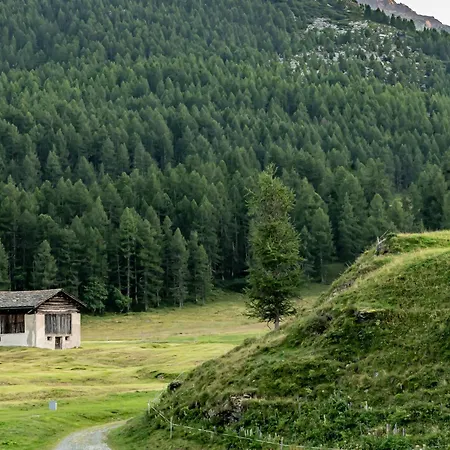 Chesa Pool Sils Maria