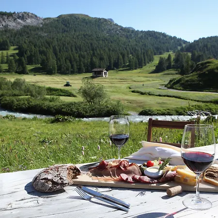 酒店 Chesa Pool 3*