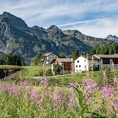 Chesa Pool Sils Maria