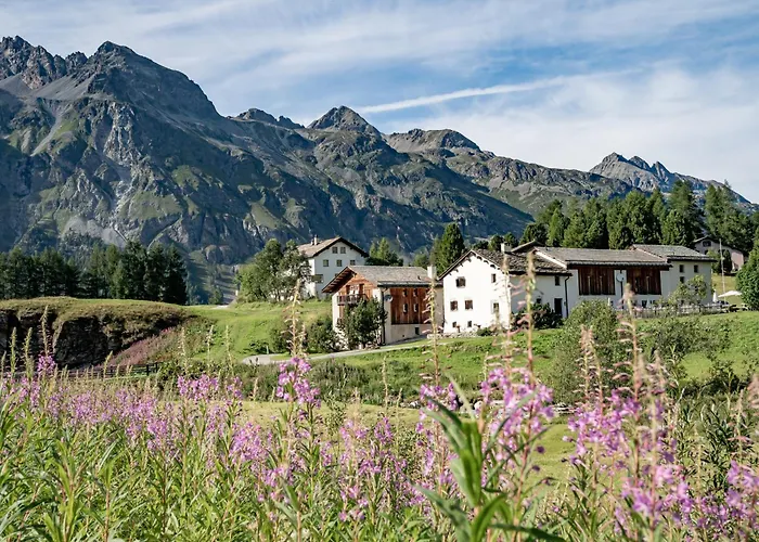 Chesa Pool 3* Sils-Maria