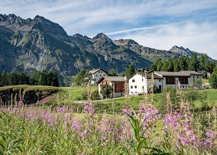 Chesa Pool Sils-Maria