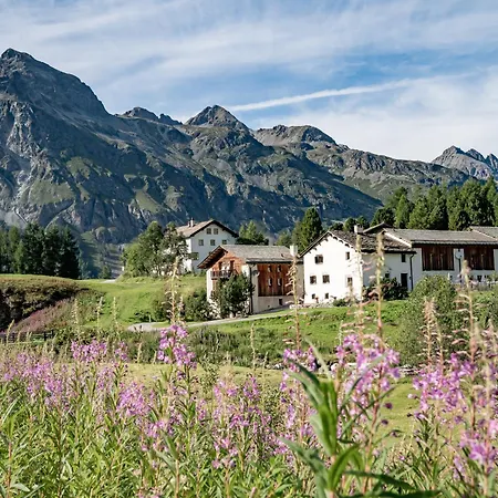 Chesa Pool 3* Sils-Maria