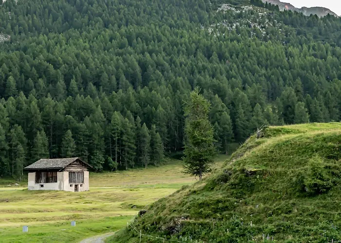 Chesa Pool Sils Maria